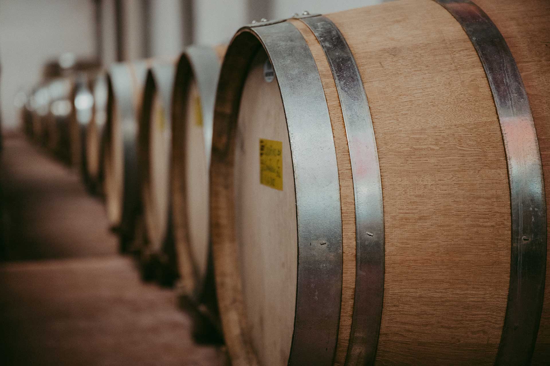 Azienda Agricola Produzione Vino e Olio - Fattoria Bonsalto