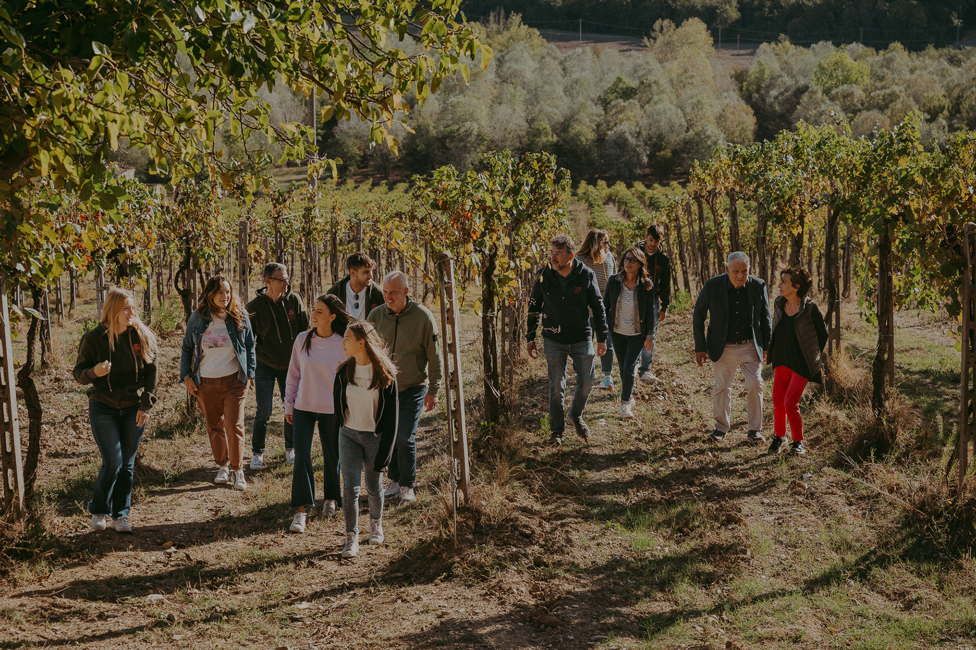 Azienda Agricola Produzione Vino e Olio - Fattoria Bonsalto